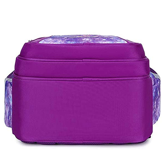 Durable Cute Multi Compartment Preschool Primary Backpack for Girls